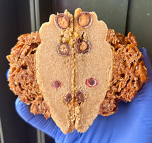 Load image into Gallery viewer, Peanut Butter M&M & Crunchie Nut Cookie