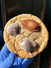 Load image into Gallery viewer, Guylian Cookie Sandwich ^