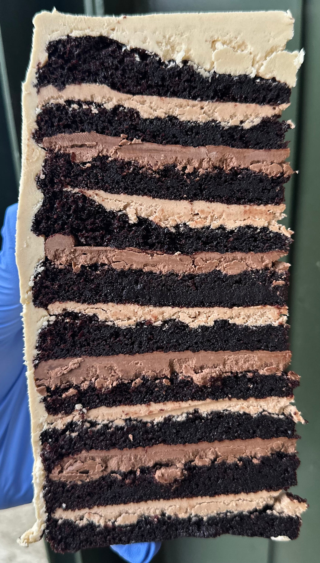 Mocha Fudge Caramel Cake ^