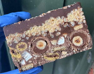 Nutella Crunch