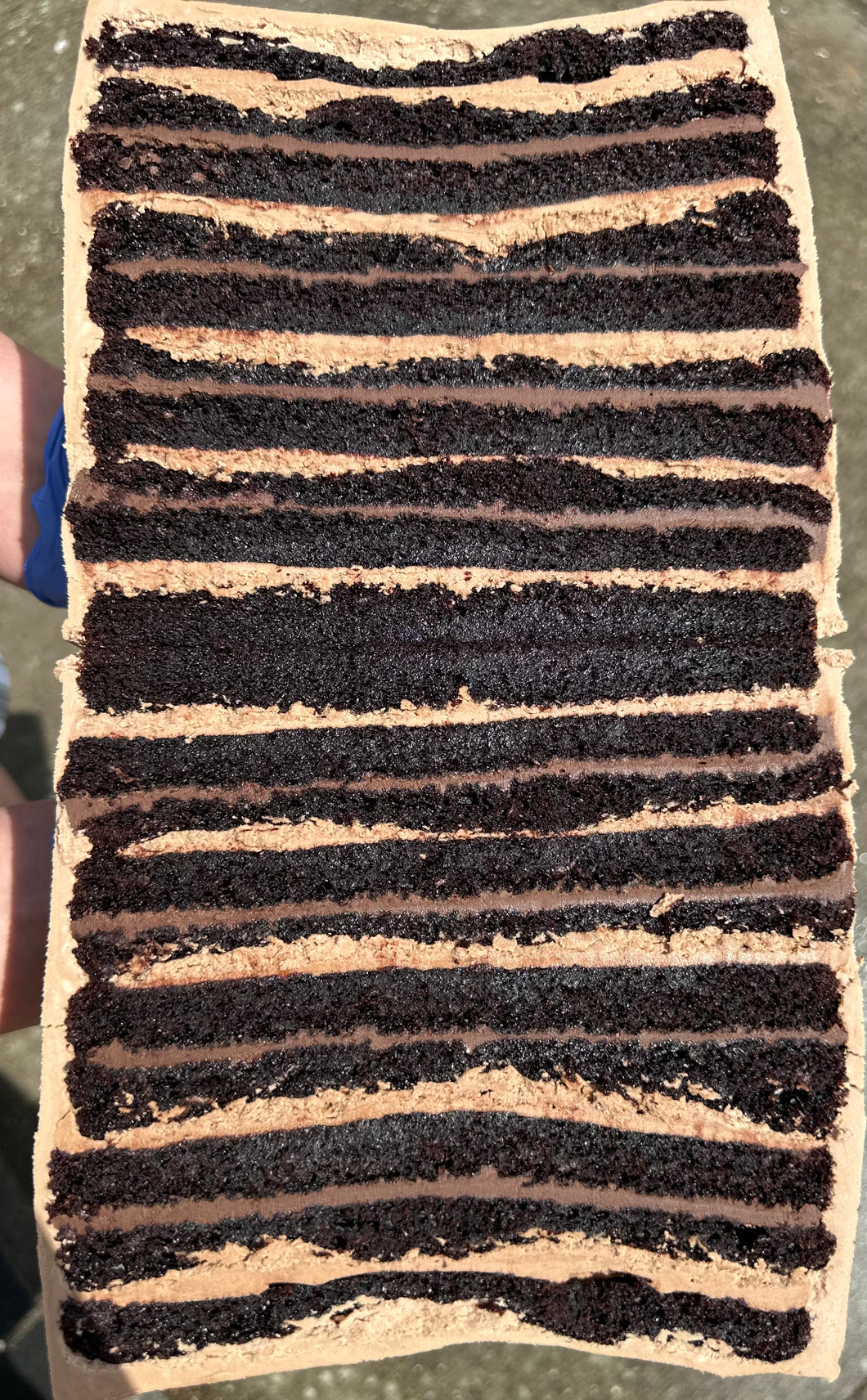 Chocolate Hazelnut Fudge Cake Slice ^